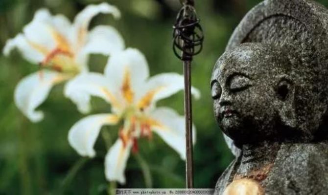 �廪��ѧ��ʿ��������������ȥ�˽�����һ�����£�