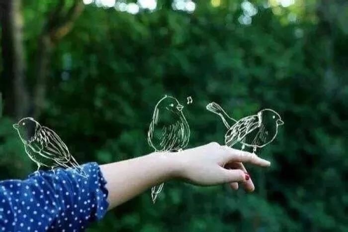 �廪��ѧ��ʿ��������������ȥ�˽�����һ�����£�