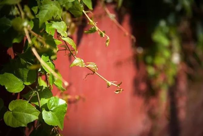 �廪��ѧ��ʿ��������������ȥ�˽�����һ�����£�