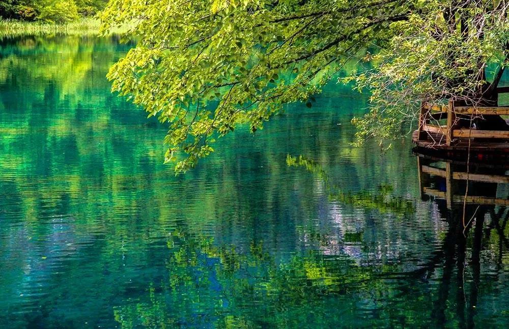 һ�������������з𷨵��ˣ������䵽������Թ�Ľ��