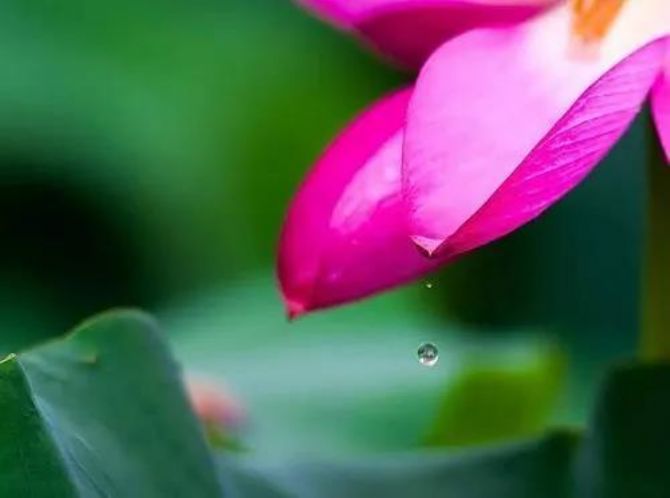 һ�������������з𷨵��ˣ������䵽������Թ�Ľ��