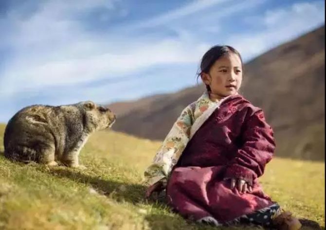 ��������ֻ����������пɺã�