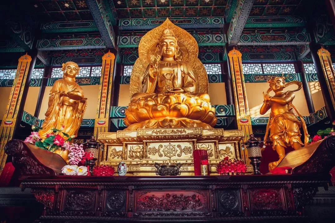 ��������ֻ����������пɺã�