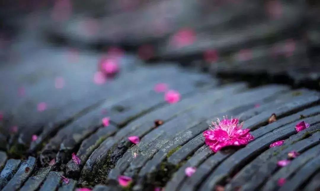 û�����������������ȴ�з��¿������ǻ�