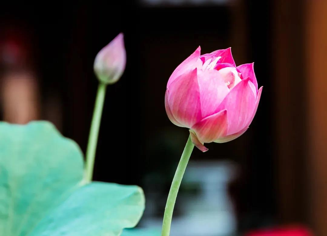 因果规律与佛菩萨加持有没有矛盾? 因果规律与佛菩萨加持有没有矛盾?