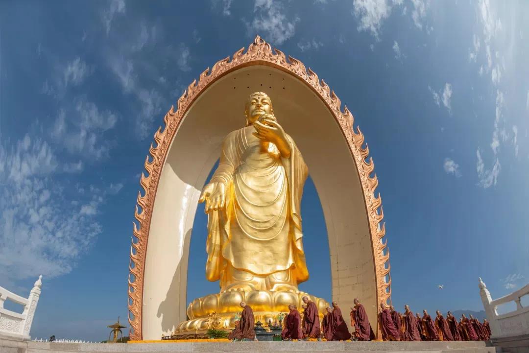 �����Ϻ���Ϊ����ϸ��ʾ����ŵİ���