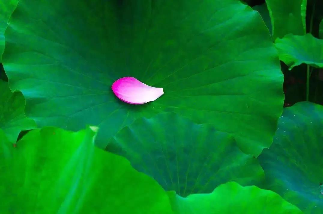 �����Ϻ���Ϊ����ϸ��ʾ����ŵİ���