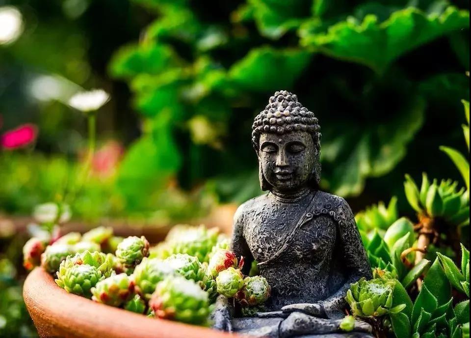 �����Ե�ˡ������ղ�ִ�������ղ����