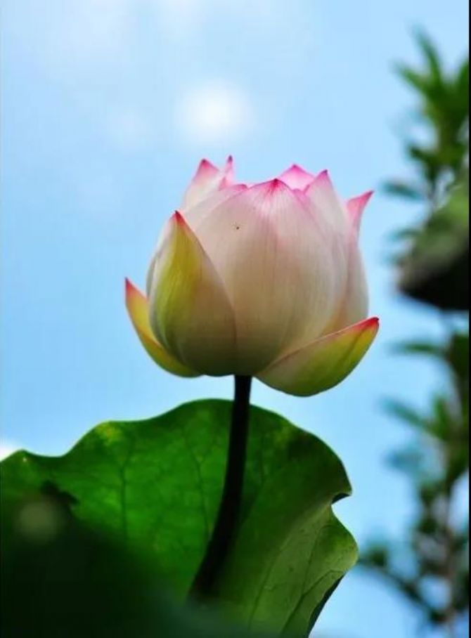 �����Ե�ˡ������ղ�ִ�������ղ����