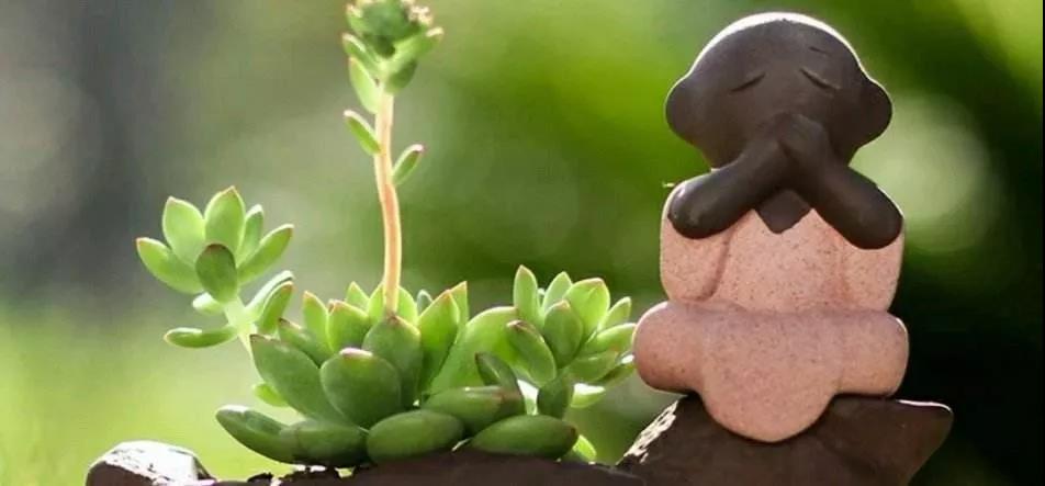 �����Ե�ˡ������ղ�ִ�������ղ����