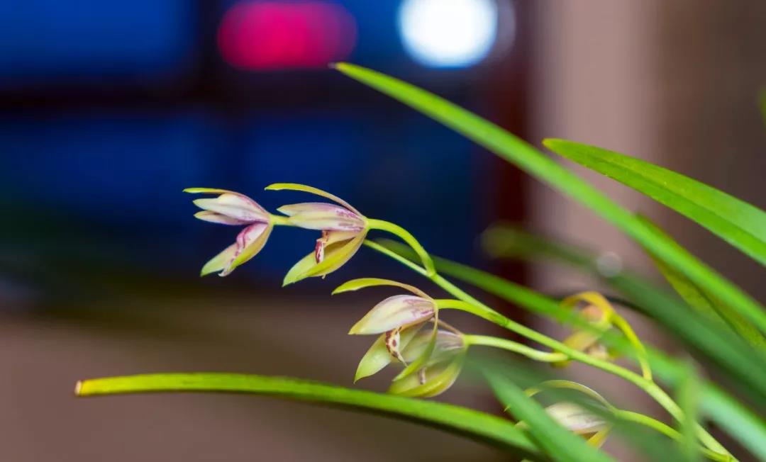 ����Խ��Խ�٣�ԭ����������ô���ε��۵��ģ�