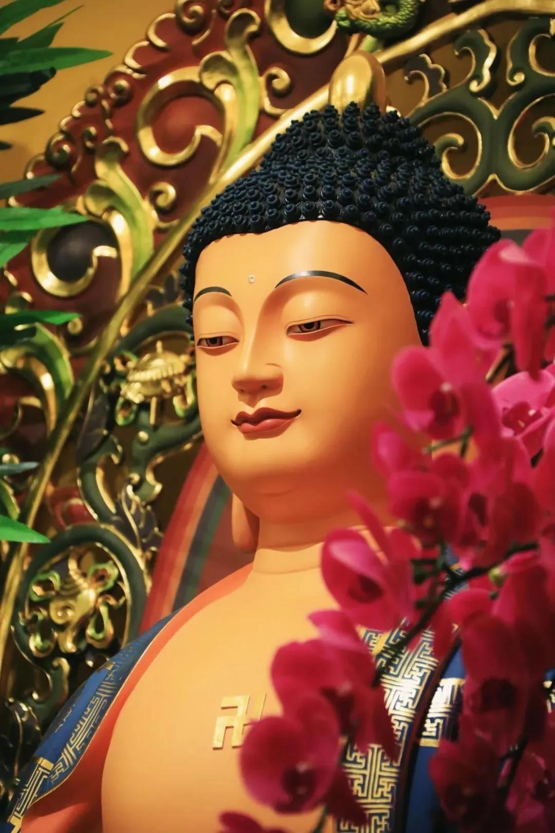 ���˺û�����Ҫ�ʱ��ˣ������Լ����ƶ�����