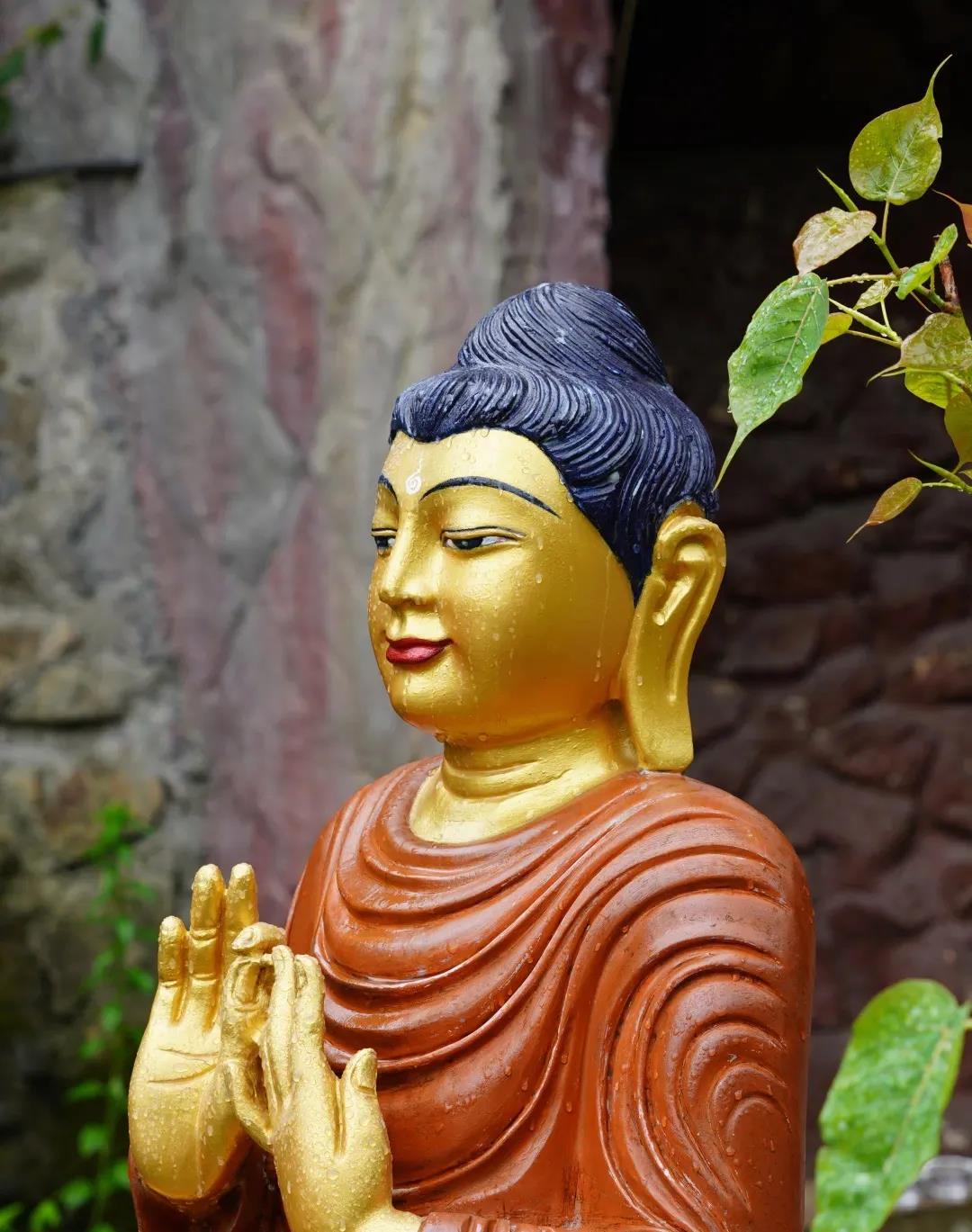 《金刚经》之一切法如梦幻泡影 《金刚经》之一切法如梦幻泡影