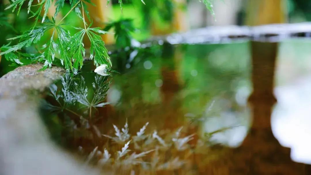 《金刚经》之一切法如梦幻泡影 《金刚经》之一切法如梦幻泡影