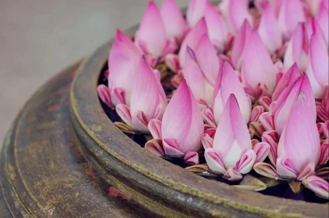 什么是福报?如何获得福报? 什么是福报?如何获得福报?