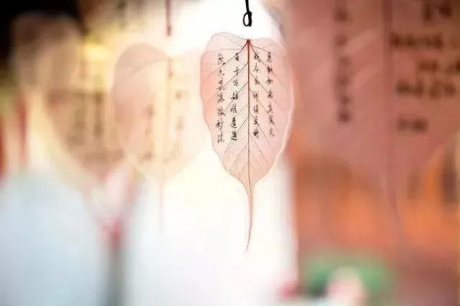 ѧ����ô���꣬ԭ�����Ǹ����پ�ʿ������