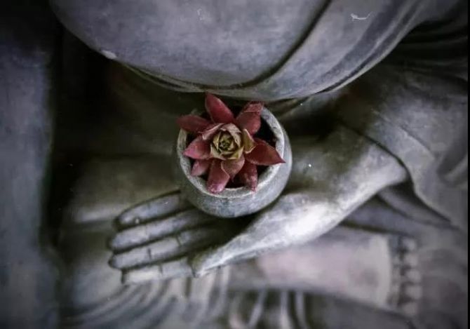 ѧ����ô���꣬ԭ�����Ǹ����پ�ʿ������