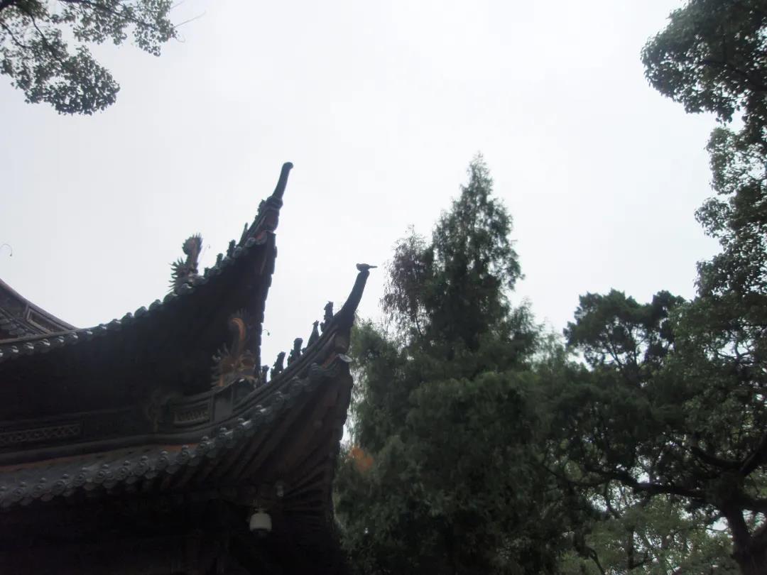 ����ɽ�ĺ���˵����ɽ���¶�