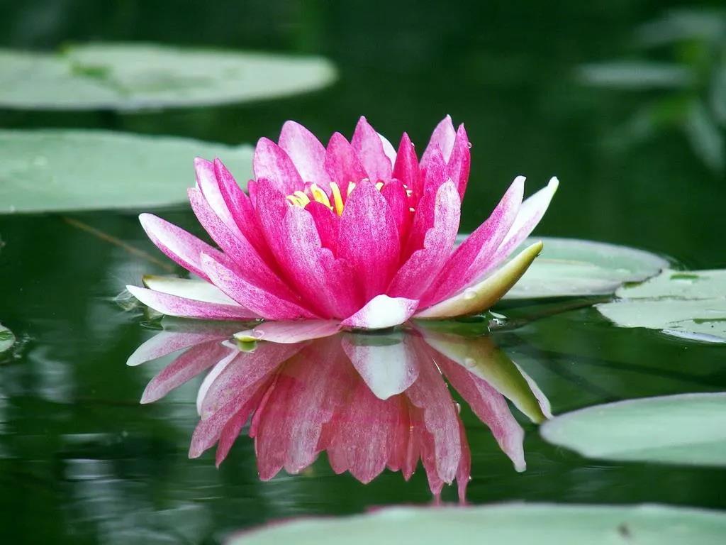 ʲô�ǻ�����ÿ��ѧ���˶�Ӧ�ÿ���