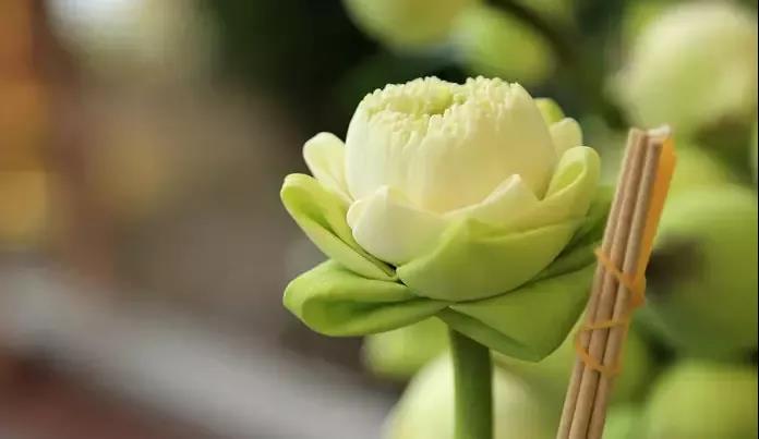 ��λ��ɮ��������������ʵ����