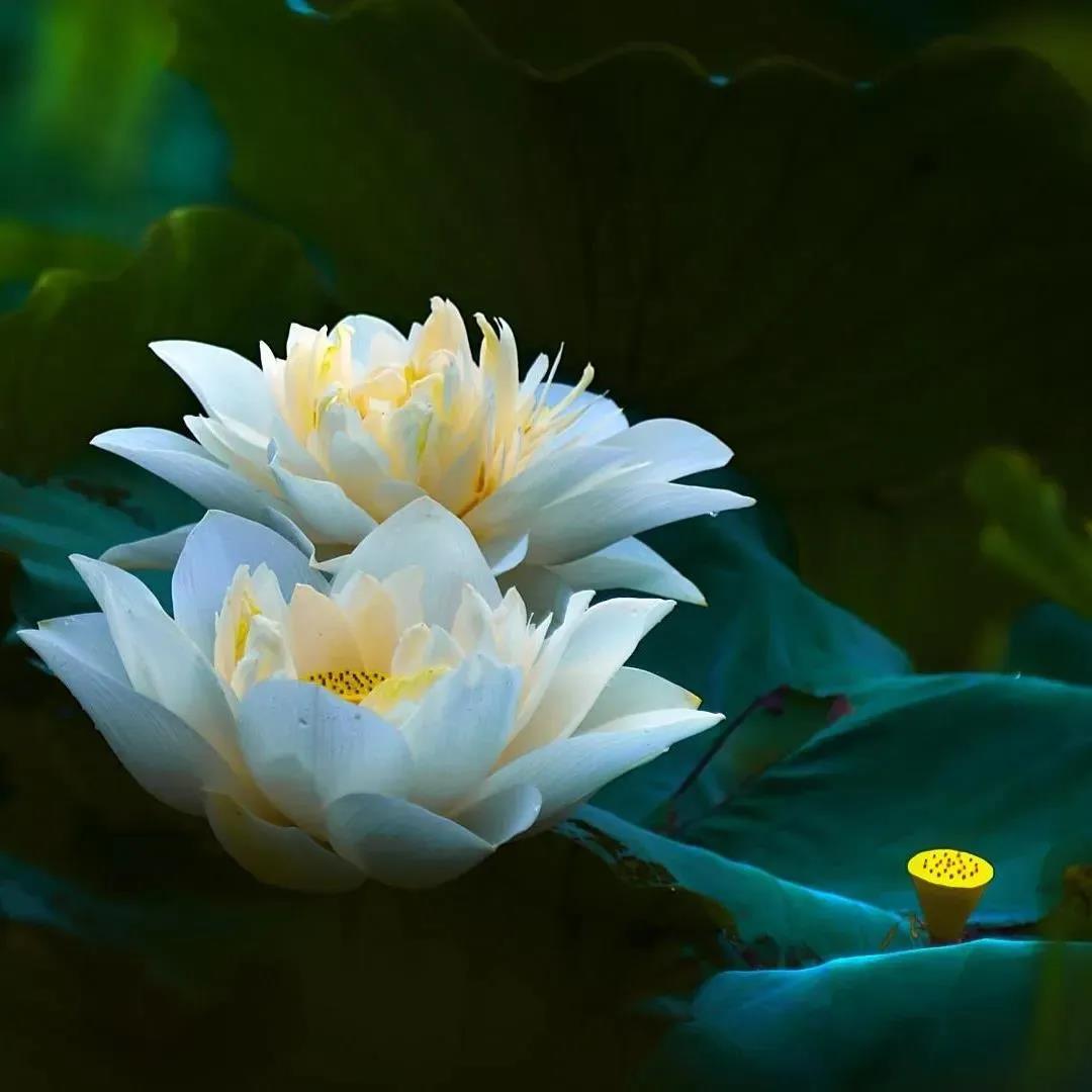 �������ǲ��õģ�ѧ�����Ҫ�ϳ�һ��������