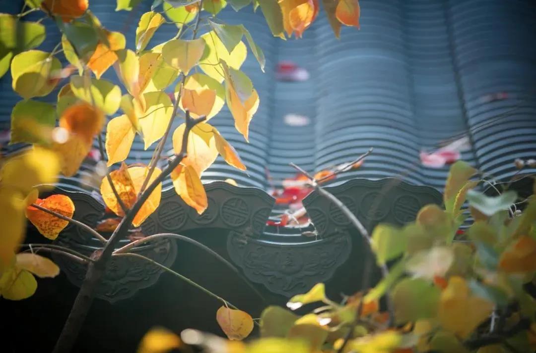 ʦ�������ǲ�ִ�ţ��������ִ�ţ���������ܰ�ã�