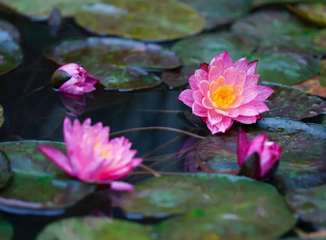 ʲô�����̣�������ʲô��˼��