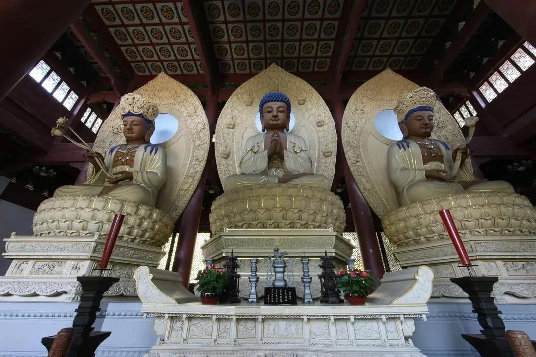 ʮ��ѧ��·���ı����ҵ�������