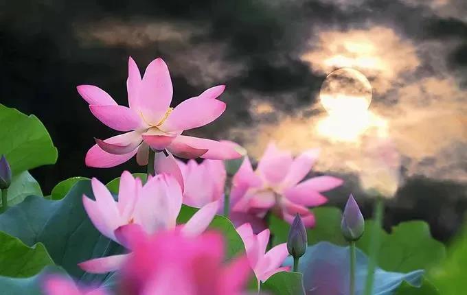 һ���ţ��������ҵ�������