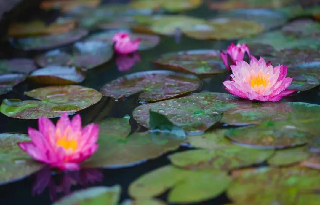 ѧ����ѧ�����𣿵���ʲô�����У�