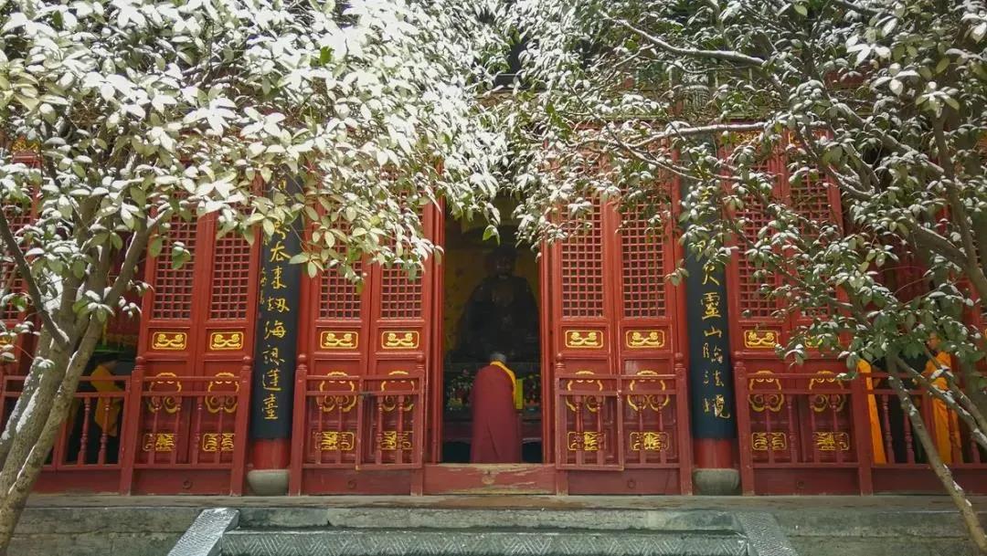 开悟不靠腿,说法不在嘴 开悟不靠腿,说法不在嘴