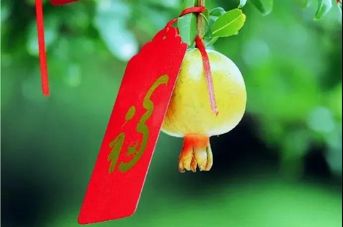 �����ˣ���ò�Ҫ��¶�Լ��Ĺ��£�