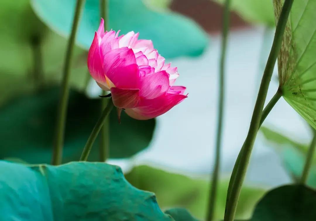 �����ˣ���ò�Ҫ��¶�Լ��Ĺ��£�