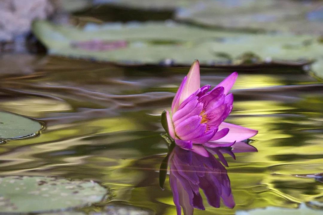 每次发脾气前,都是你改善心境的最好时机 每次发脾气前,都是你改善心境的最好时机