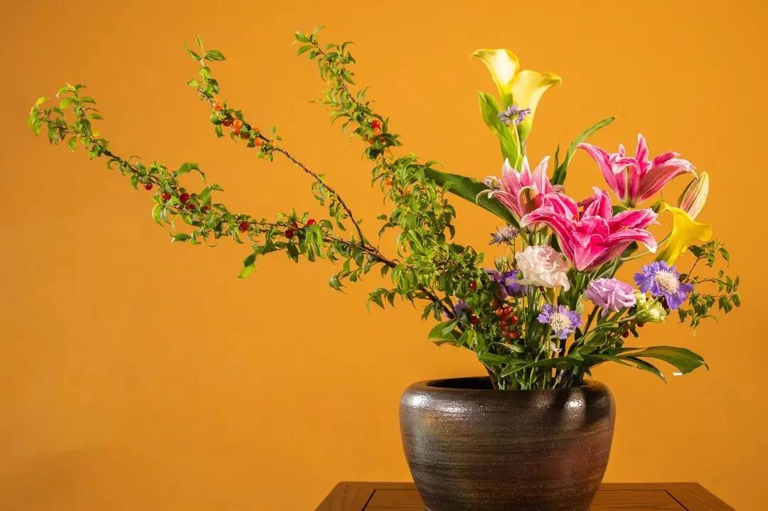 ���Ʋ��������������޹��£��쿴�����Ƿ�Ҳ���������