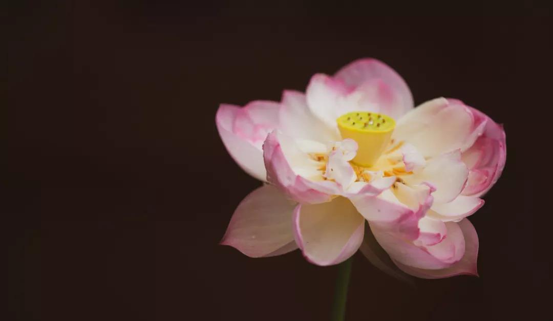 ��λ��̫�����ɾ͵�ԭ�ɣ����Ĳ�����