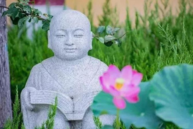 懂得修行与不懂修行的差别,就在这里 懂得修行与不懂修行的差别,就在这里