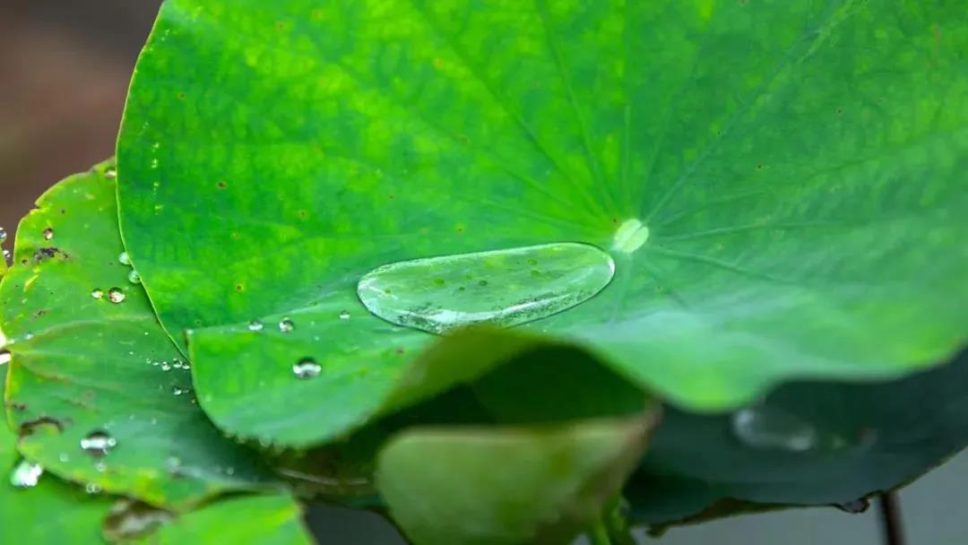 懂得修行与不懂修行的差别,就在这里 懂得修行与不懂修行的差别,就在这里