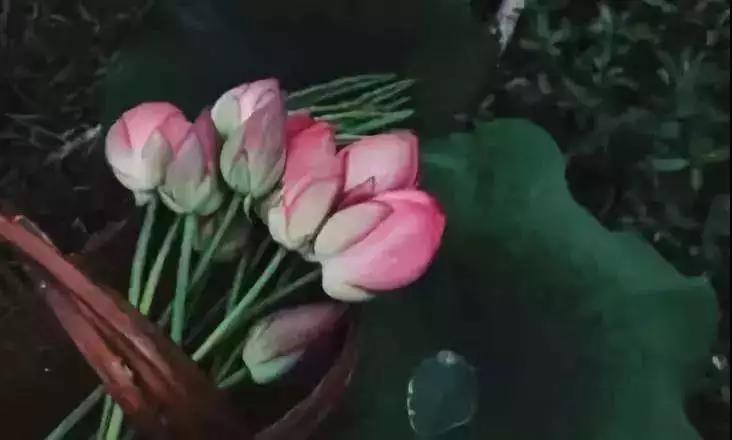 ѧ��֮��������������е��ƶ�ì�ܣ�