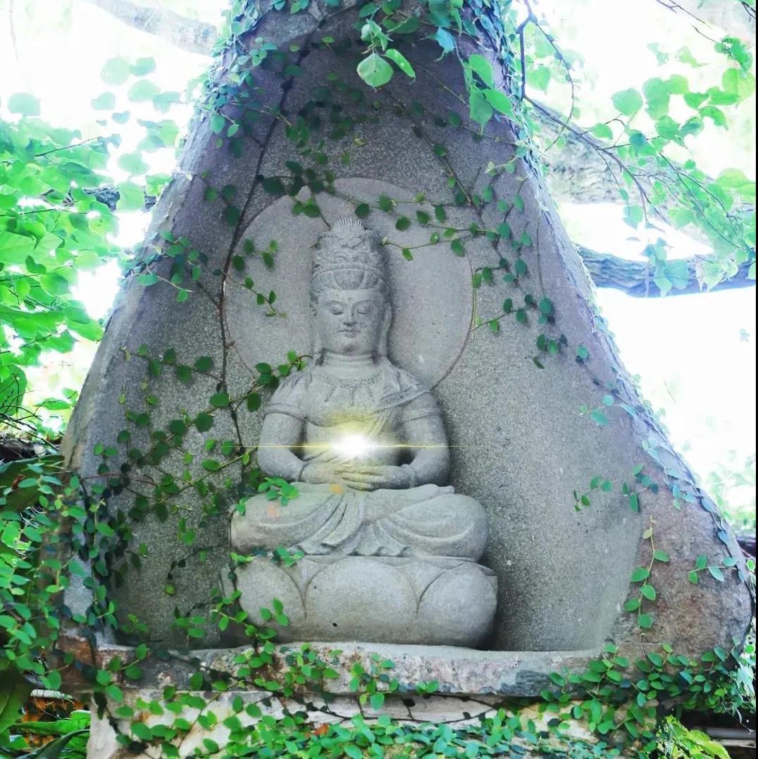 人生逆旅,唯有三宝才是究竟皈依处 人生逆旅,唯有三宝才是究竟皈依处