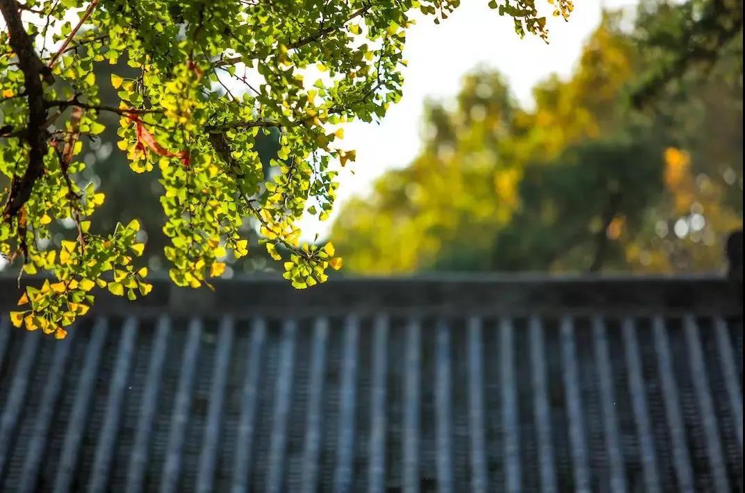 ������ʵ��Լ����������Ҹ���