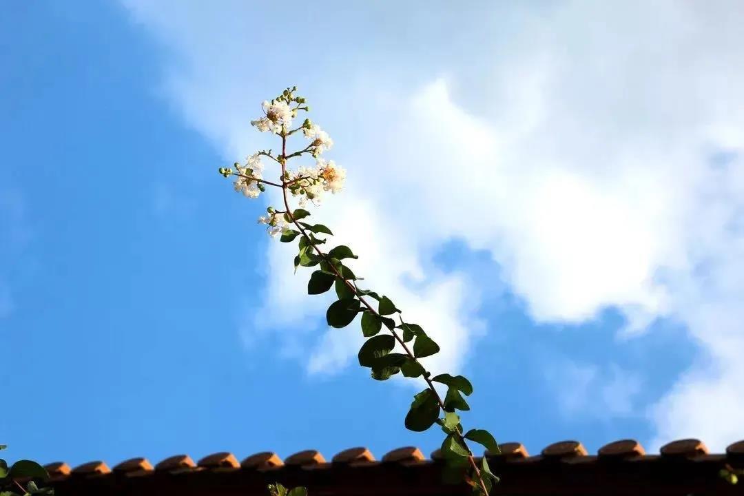 ������ʵ��Լ����������Ҹ���