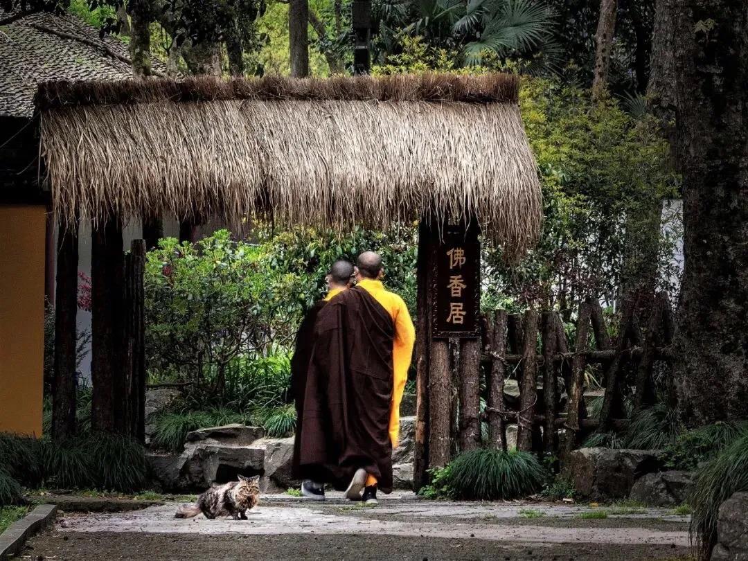 �������ŷ�Ը����Ҫ��