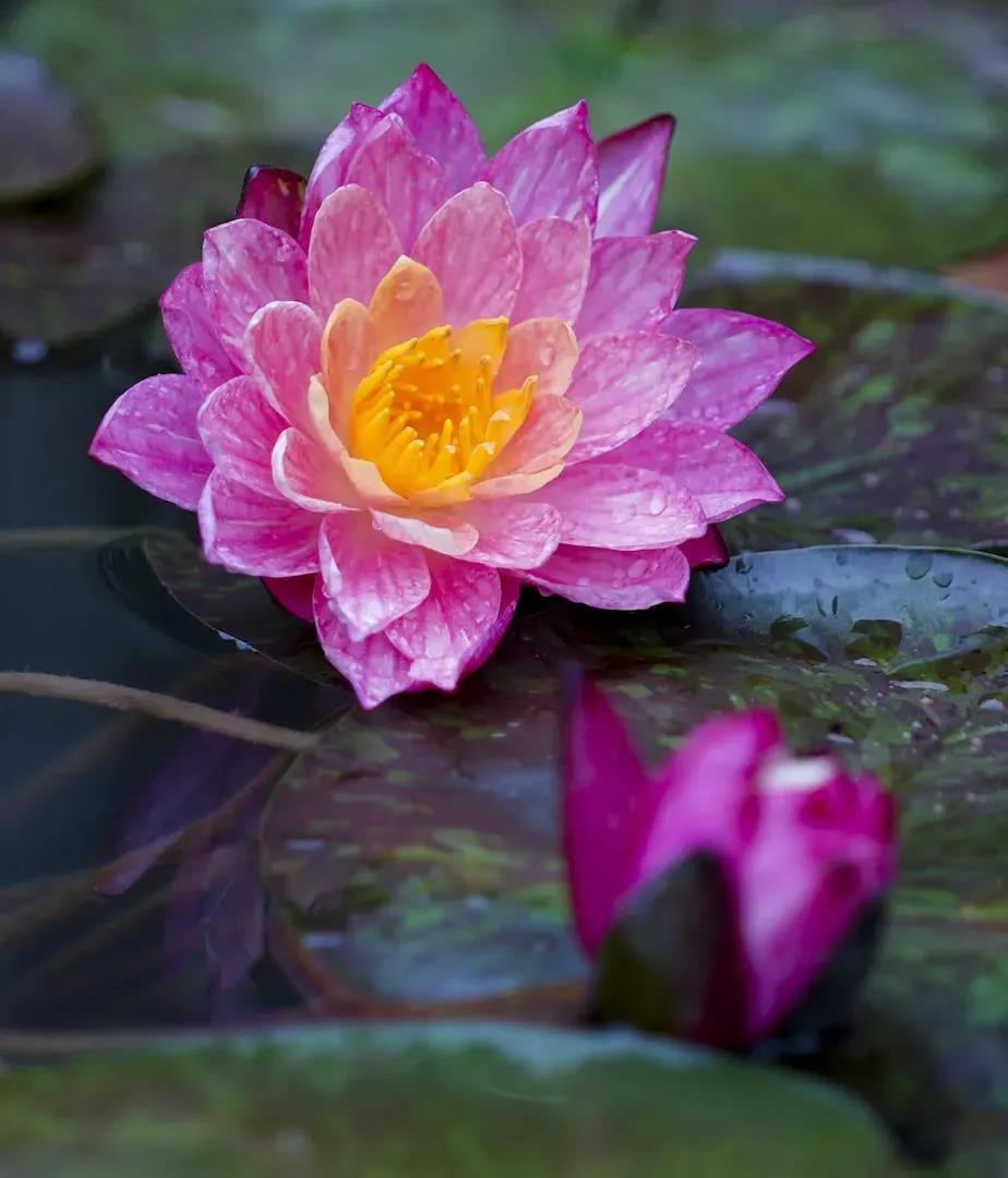 ����ʲô���Ͳ���ʲô������ʲô�����̳�ʲô