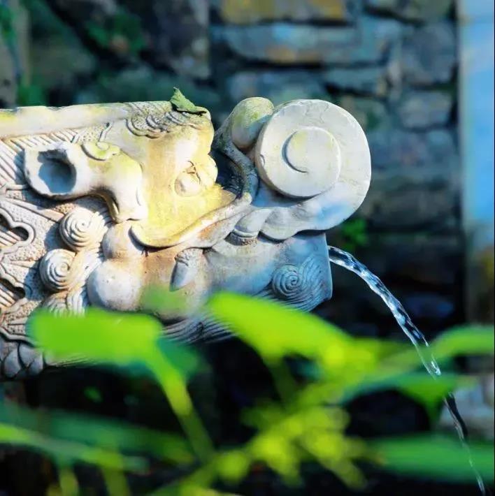 ����ʲô���Ͳ���ʲô������ʲô�����̳�ʲô