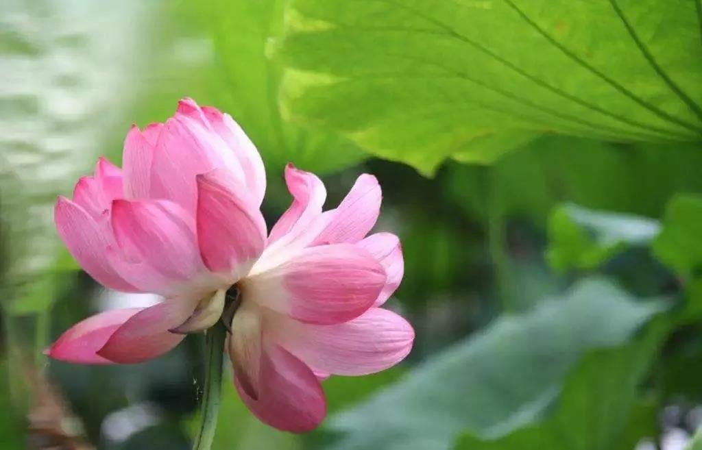 信佛后没感应?其实这些都是效果 信佛后没感应?其实这些都是效果