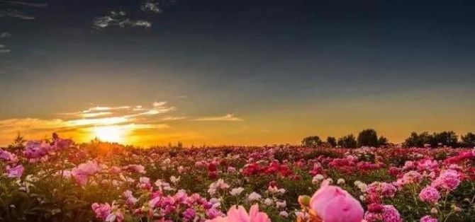 Խ�ǻ����е��ˣ�Խ��ϲ�����澳����