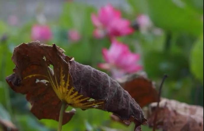 ���ն࣬ҵ���ԭ��������