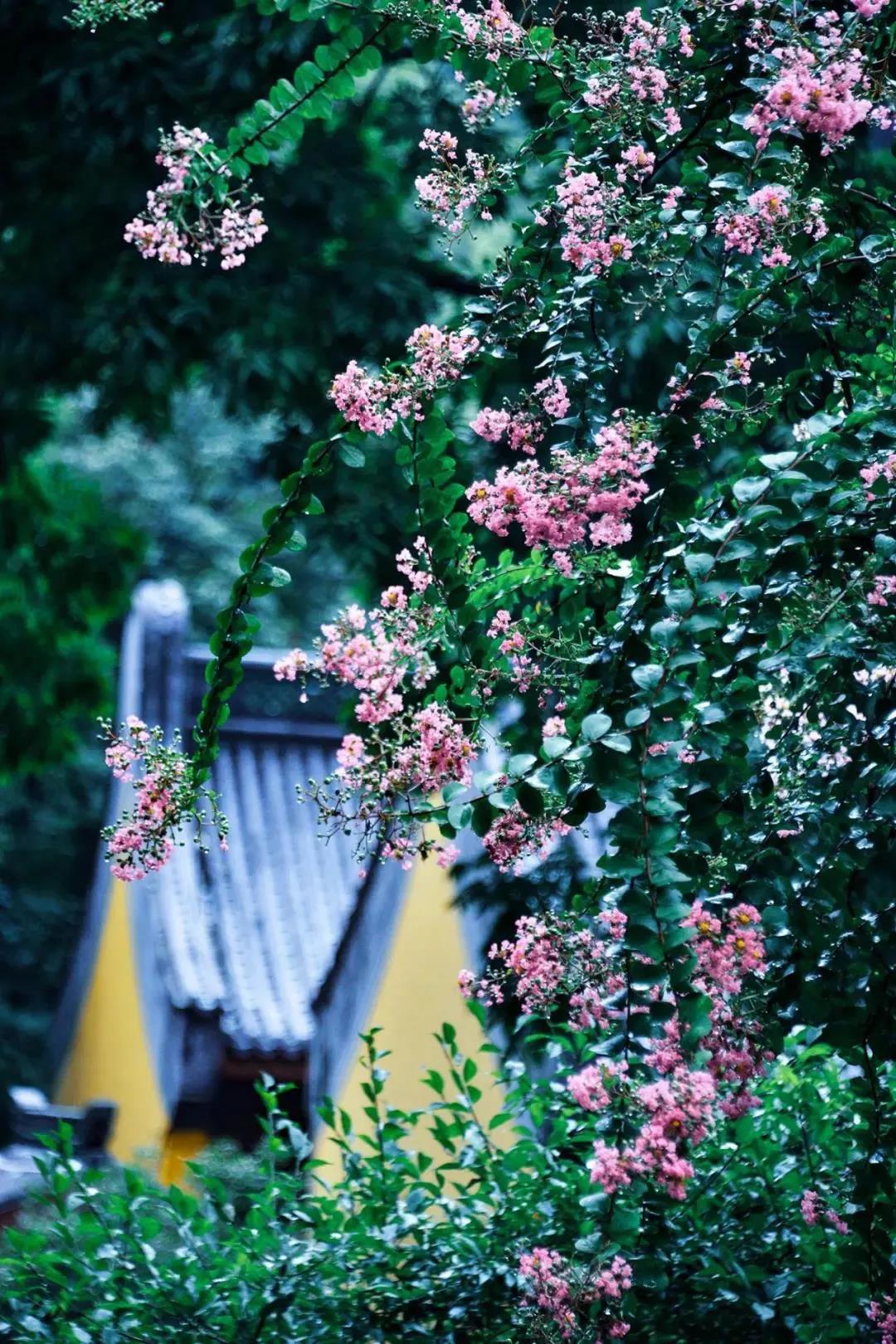 ��һ�־��磬����һ�з��������ɢ~