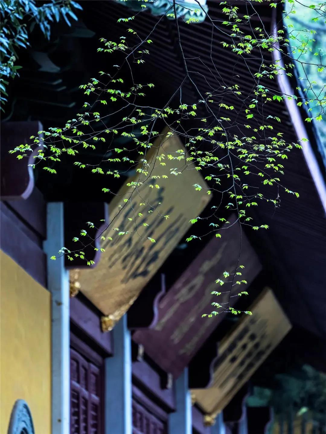 ������ֻ��һ���˻�����ʹ�࣬�������Լ���